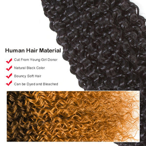 Dialove  Brazilian Hair Weave Bundles Remy Hair Bundles 3Pcs With Closure 4*4 Kinky Curly Bundles With Closure Hair Extension